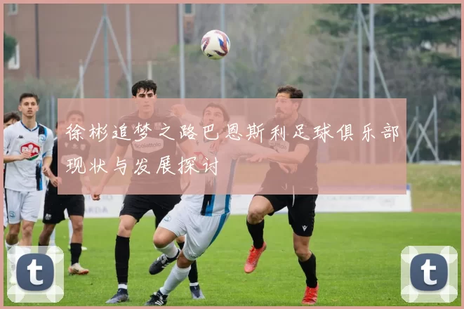 徐彬追梦之路巴恩斯利足球俱乐部现状与发展探讨